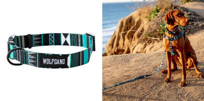 ウエスタンスカイ