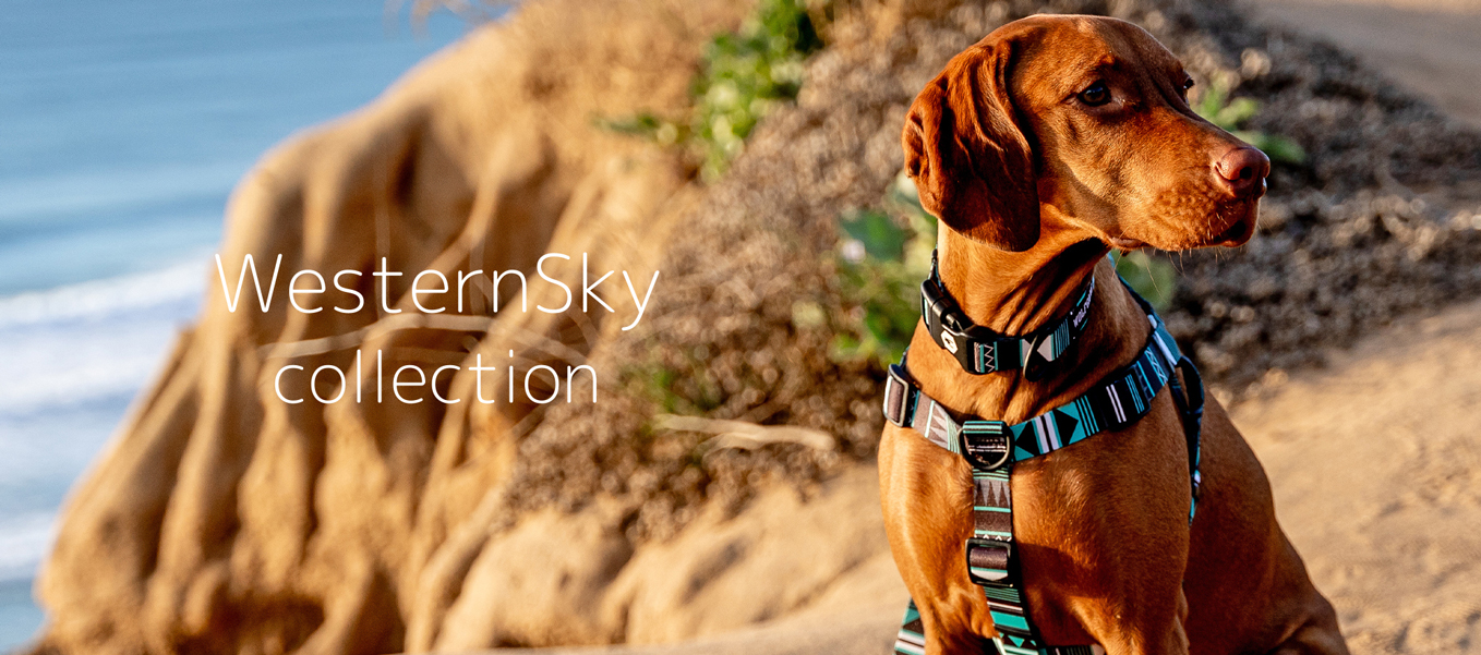 ウエスタンスカイ