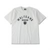 Tee & Cap SALE !